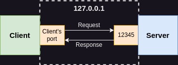 UDP/TCP client server connection